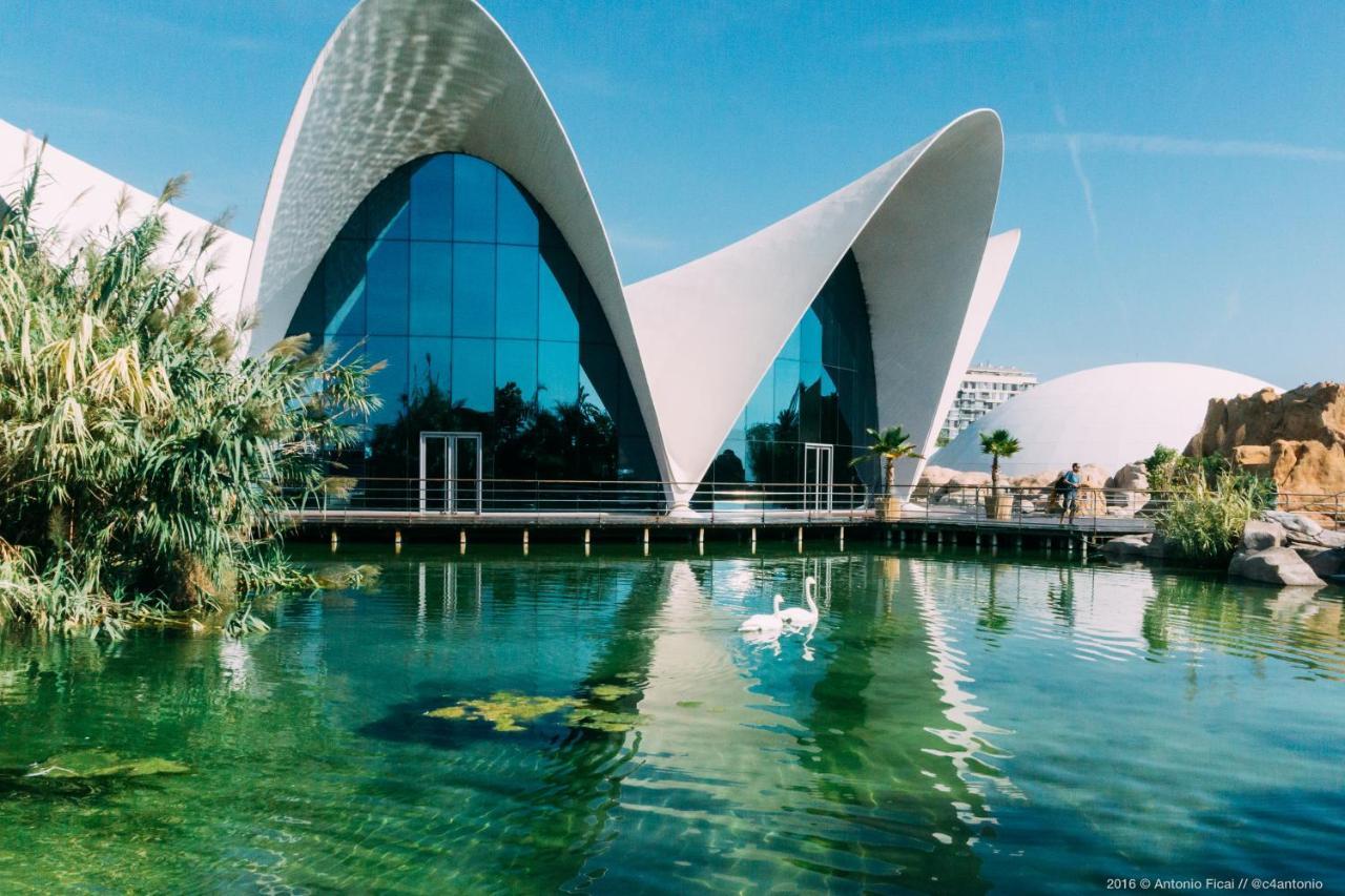 Jl Ciudad De Las Artes Valencie Exteriér fotografie